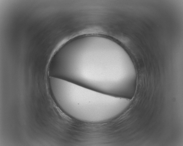 X0000063441366200601200917