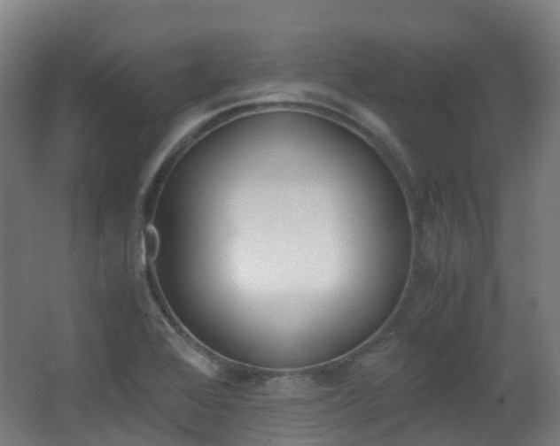 X0000063441368200601200917