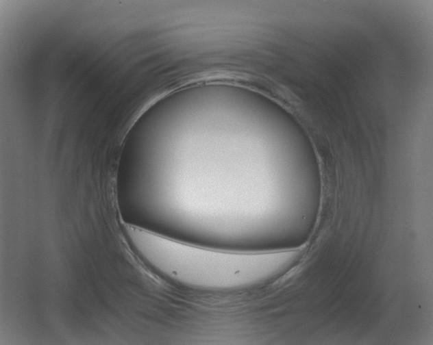 X0000063441369200601200917
