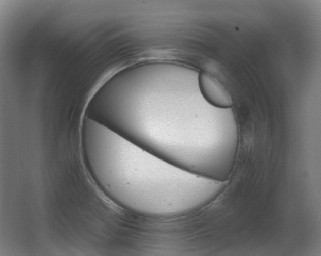 X0000063441370200601200917