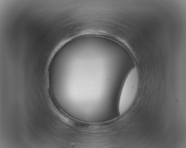 X0000063441371200601200917
