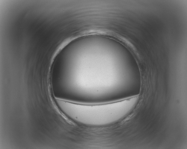 X0000063441373200601200917