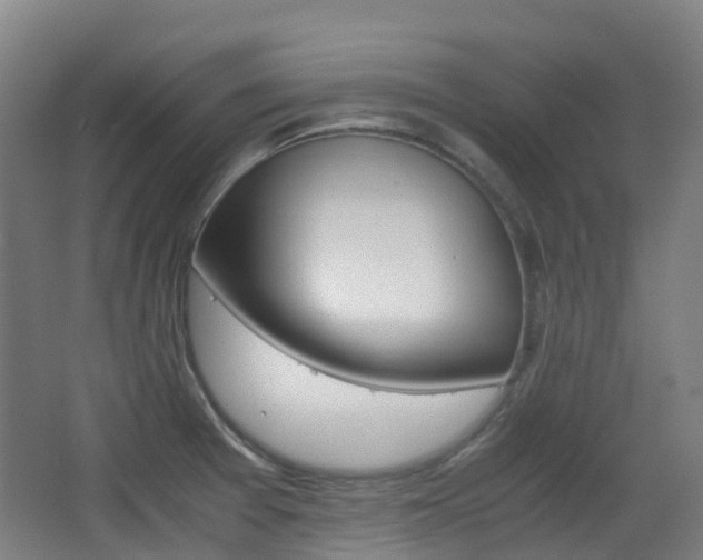 X0000063441377200601200917