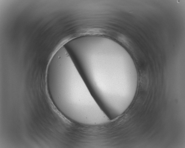 X0000063441378200601200917