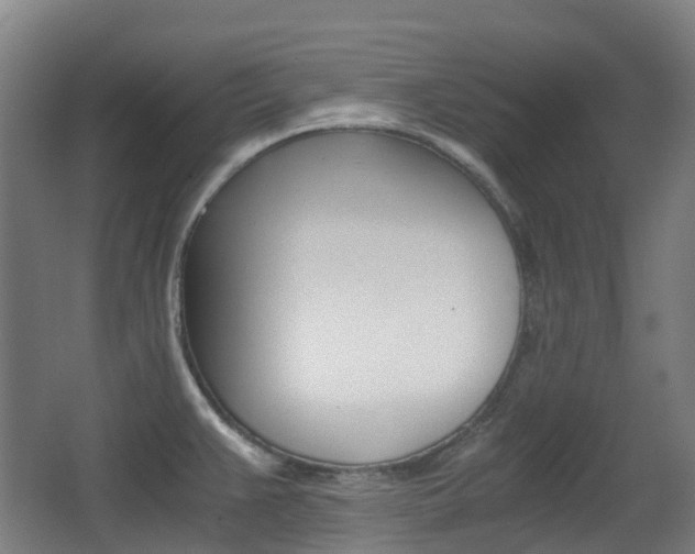 X0000063441383200601200917