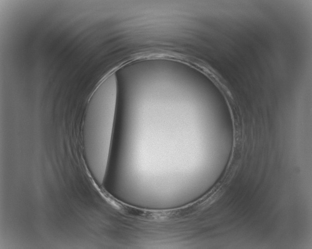 X0000063441385200601200917
