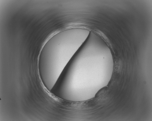 X0000063441386200601200917