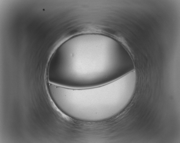 X0000063441387200601200917