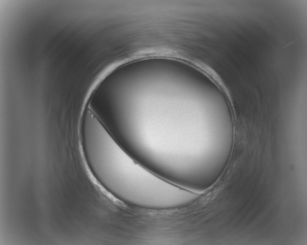 X0000063441389200601200917