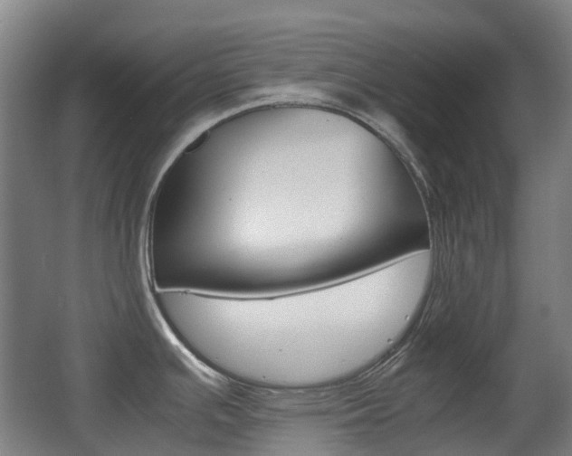 X0000063441391200601200917