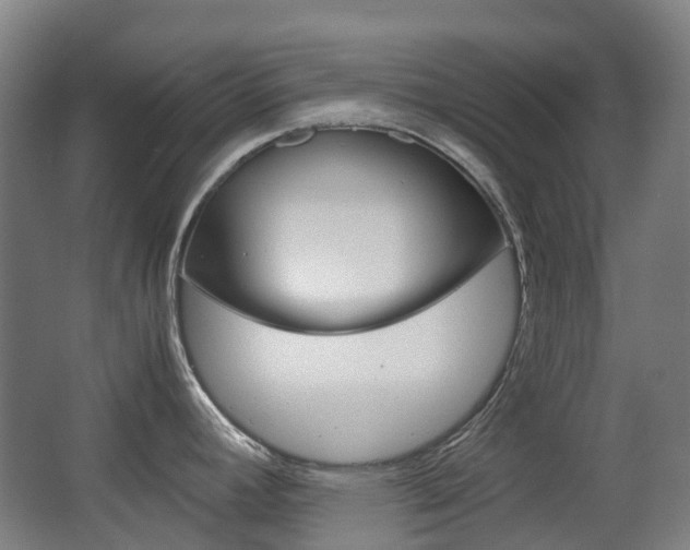 X0000063441392200601200917