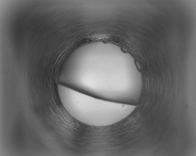 X0000063441393200601200916