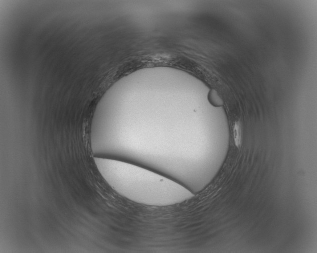 X0000063441395200601200916