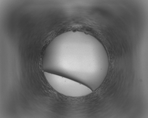 X0000063441397200601200916
