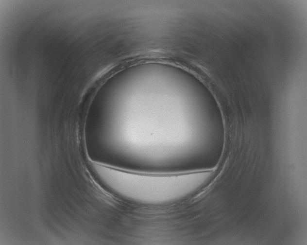X0000063441402200601200916