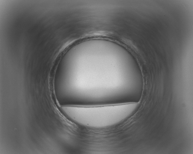 X0000063441404200601200916