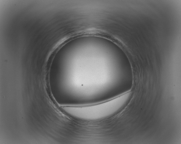 X0000063441410200601200916