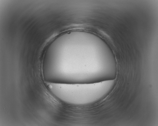 X0000063441411200601200916