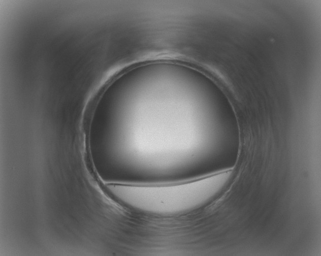 X0000063441414200601200916