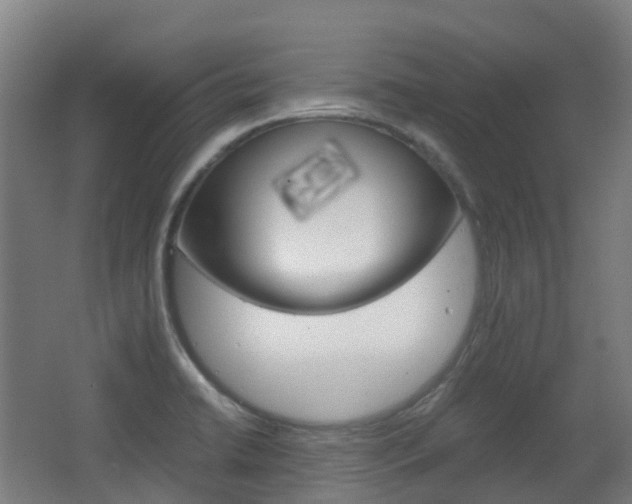 X0000063441422200601200917