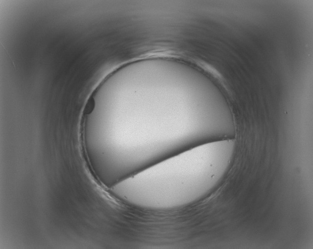 X0000063441423200601200917