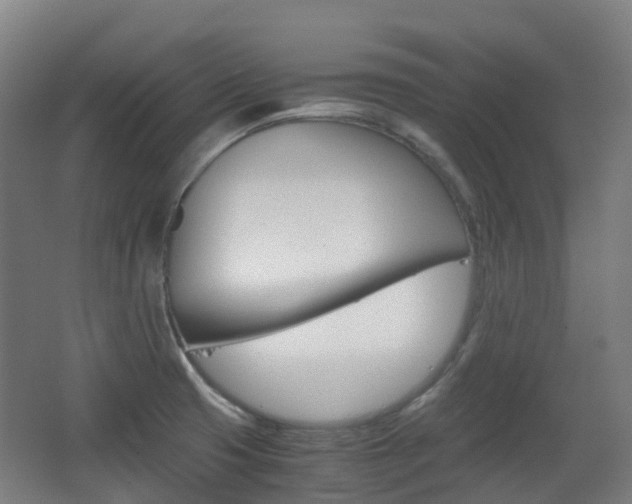 X0000063441425200601200917