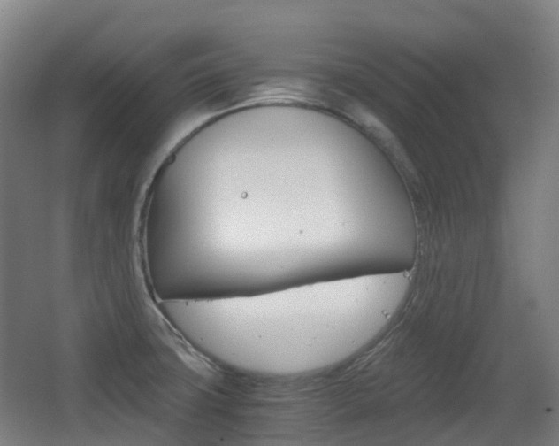 X0000063441427200601200917
