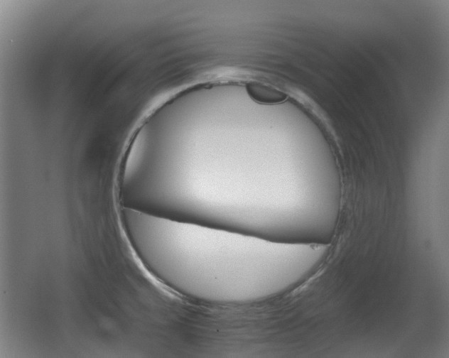 X0000063441429200601200917