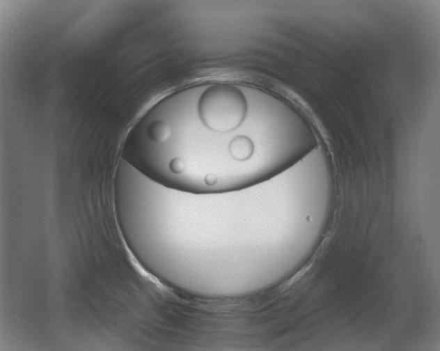 X0000063441433200601200917