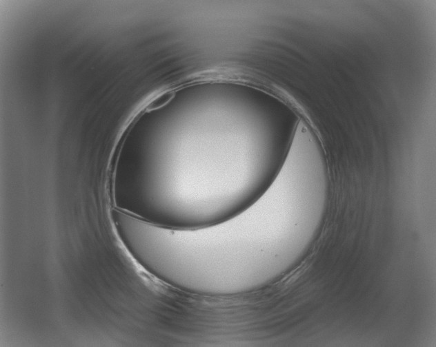 X0000063441434200601200917