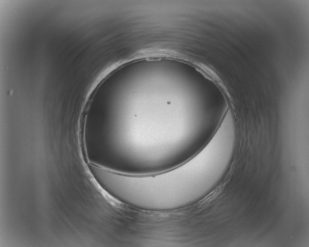 X0000063441438200601200917