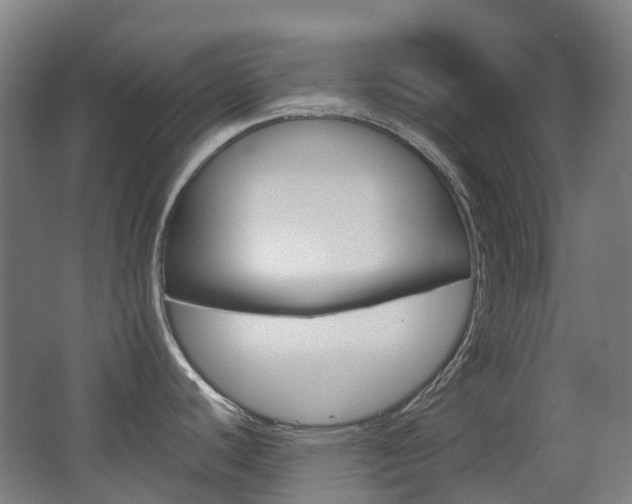 X0000063441440200601200917