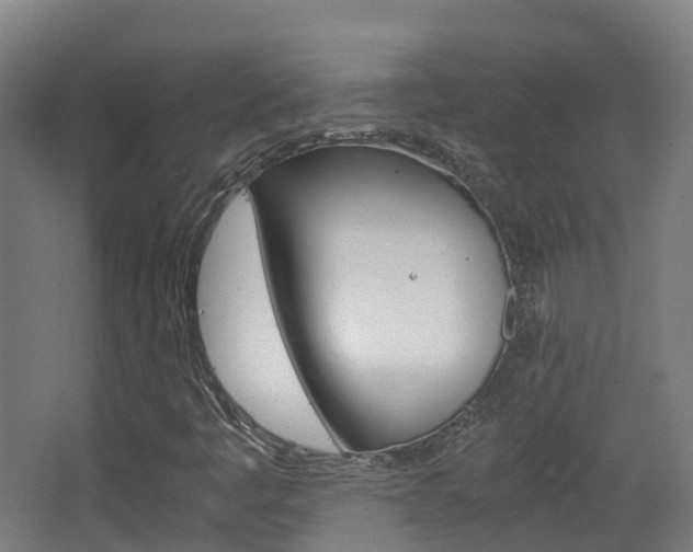 X0000063441445200601200916