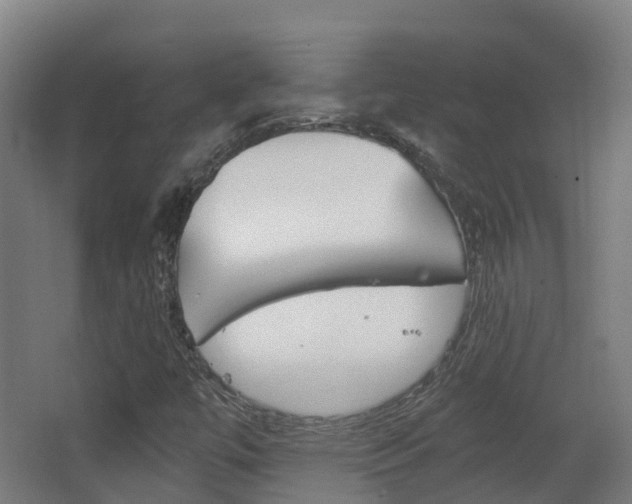 X0000063441447200601200916