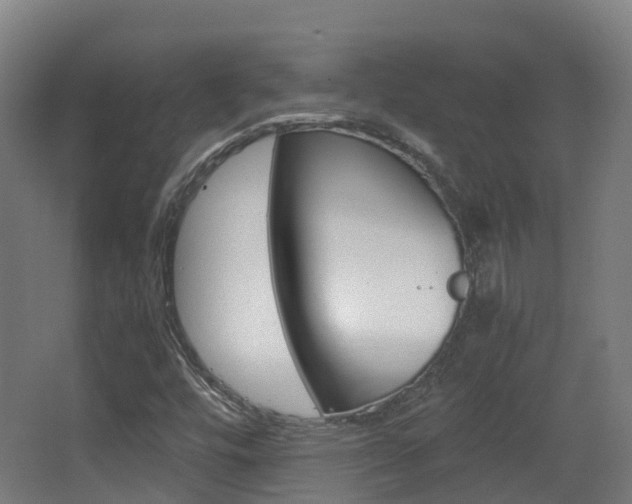 X0000063441448200601200916
