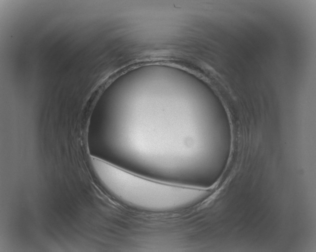 X0000063441449200601200916