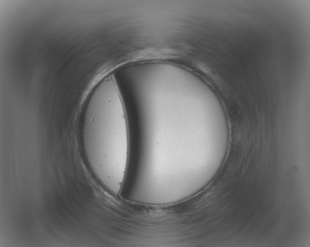 X0000063441459200601200916