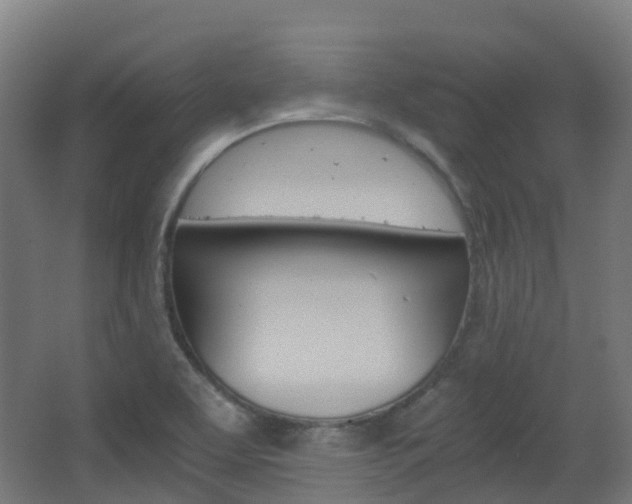 X0000063441463200601200916