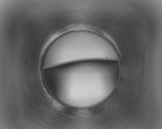 X0000063441464200601200916