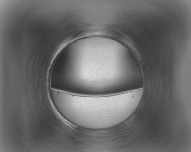X0000063441483200601200915