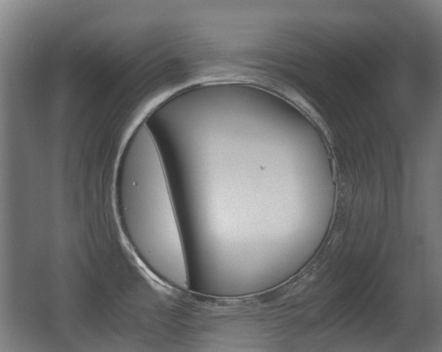X0000063441485200601200915