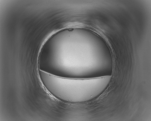 X0000063441488200601200915