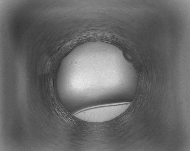 X0000063441489200601200914