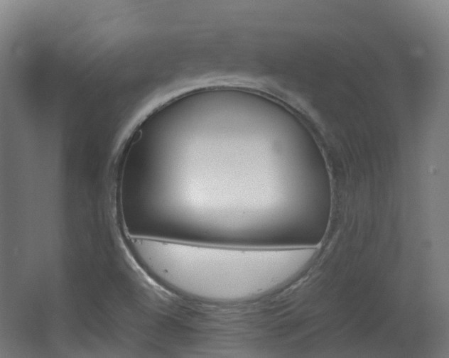 X0000063441504200601200915