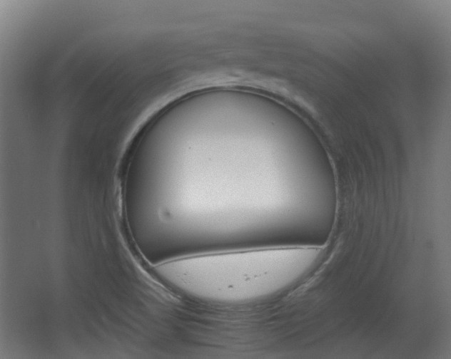 X0000063441509200601200915