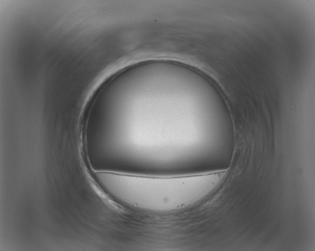X0000063441511200601200915