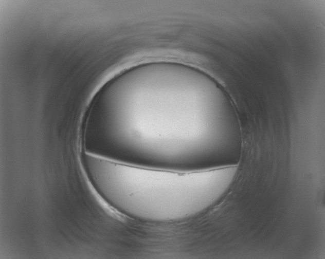 X0000063441523200601200915