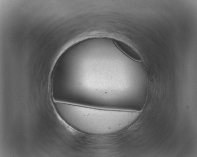 X0000063441527200601200915