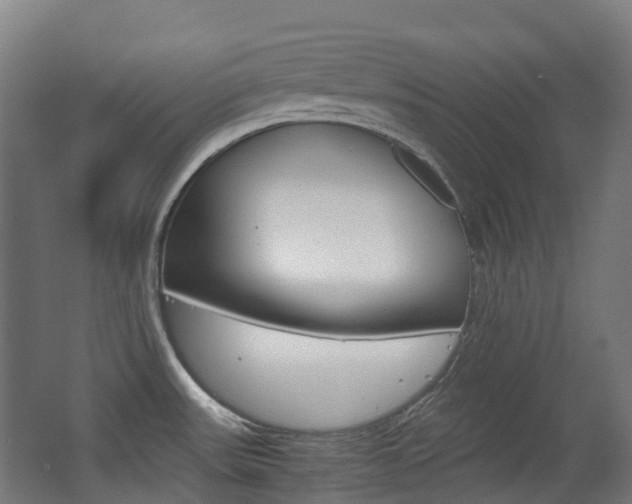 X0000063441531200601200915
