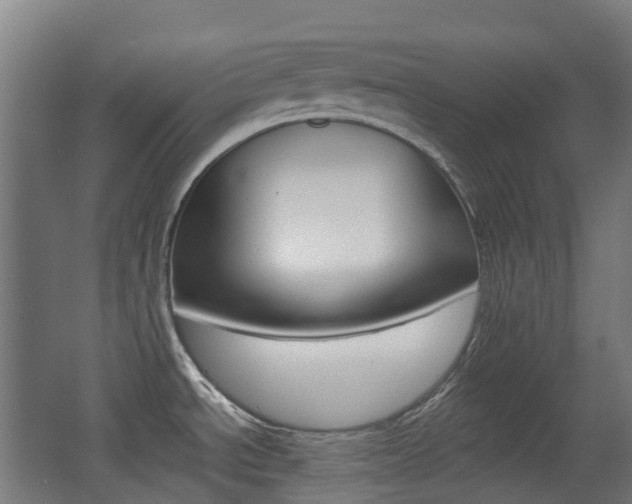 X0000063441534200601200915